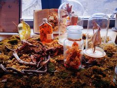 -PAGEONE(北京坊店)