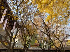 -西安市广仁寺