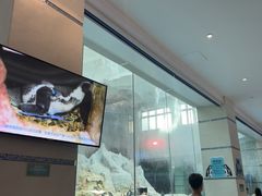 -帝企鹅自助餐厅•儿童岛•真企鹅(长隆企鹅酒店)