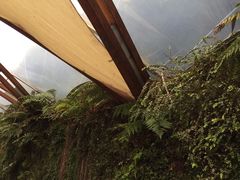 -怀托摩萤火虫洞