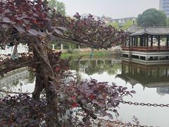 -孺子亭公园