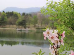 -国家植物园