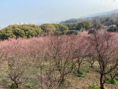 -无锡梅园公园