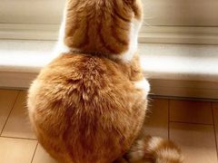 -CGV影城(梅江ScreenX店)