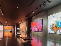 -罗红摄影艺术馆