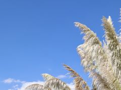 -大理洱海
