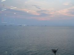 -七鲜渔港美食餐厅(巽寮湾海景店)