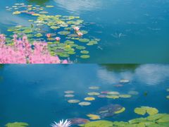 -上海辰山植物园