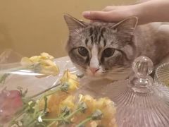 -白兔子密室(长寿路店)