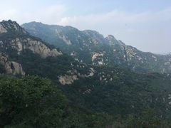 -大岭沟猕猴桃谷风景区