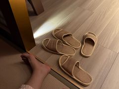 -漢頓温泉度假酒店