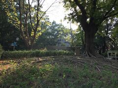 -九龙公园
