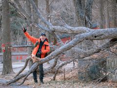 -阳台山自然风景区