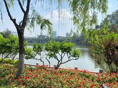 -西湖公园(鼓楼区)