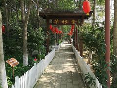 -草根堂农场