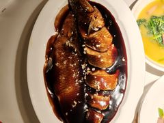-新白鹿餐厅(湖滨银泰IN77C区店)