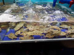 -南海渔家•海鲜•正宗海南菜(海棠湾店)