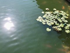 -卧龙堡客栈·中餐厅(古北水镇店)