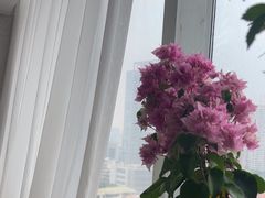 -南笙•新瘾私享日式SPA