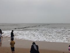 -日照海滨国家森林公园