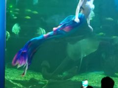 -石林冰雪海洋世界