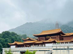 -深圳仙湖植物园