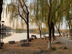 -石家庄市植物园