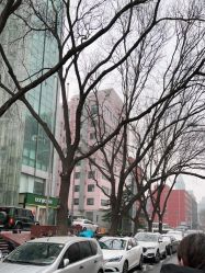 -北京市海淀区妇幼保健院(东南院区)