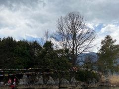 -丽江泸沽湖景区