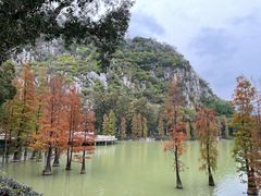 -星湖旅游景区七星岩