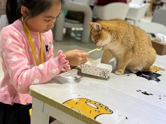 -藏猫猫咖啡主题馆(中央大道店)