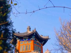 -宣武艺园