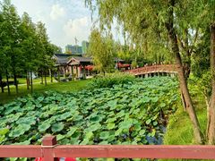 -东台西溪天仙缘景区