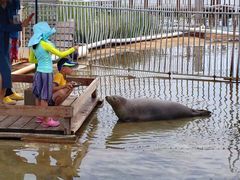 -渔岛海洋度假区