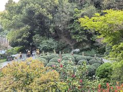-十八棵（老龙井）御茶园(老龙井店)
