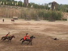 -五龙山野生动物王国