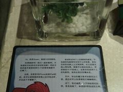 小鱼-杭州西湖桔子水晶酒店