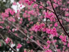 -显应宫(长乐区)