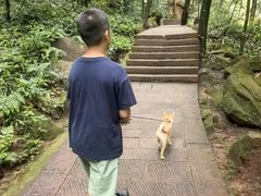 -赤水丹霞旅游区·佛光岩