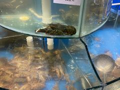 -四海蒸鲜蒸汽海鲜自助(北戴河店)