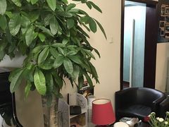 -圣典成人钢琴俱乐部(国贸旗舰校区)