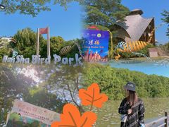 -大湾区中央湿地公园
