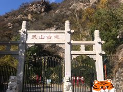 -北京灵山风景区