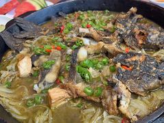 -老板恋上鱼(恒隆广场店)