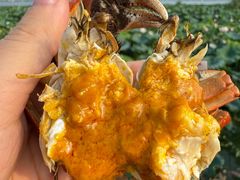 -七的湖·晚芳亭·阳澄湖农家菜·大闸蟹(莲花岛店)