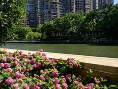 -苏州河梦清园环保主题公园