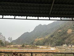 -银峰农庄·特色烧鸡·鲜无花果浸鸡