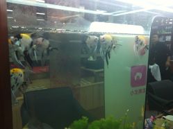 IMG_7074-小左美发