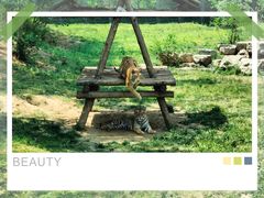 -济南野生动物世界