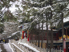 -湛山寺